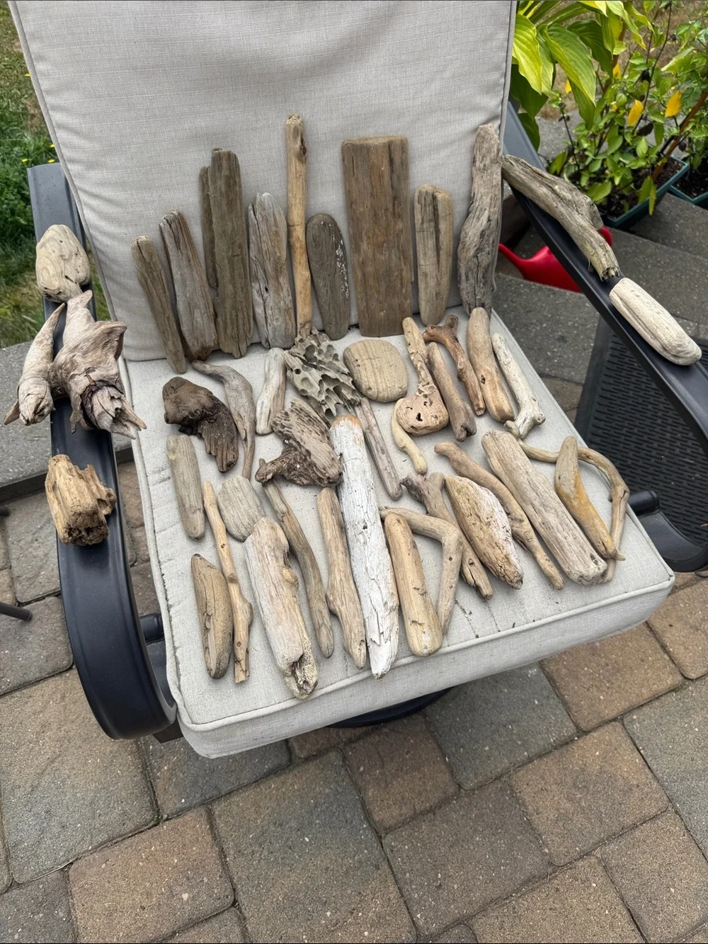 43 pc for (5 lbs shipped) Box of Natural Driftwood Pieces Decor Crafts Projects